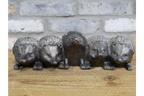 Hedgehogs Planter