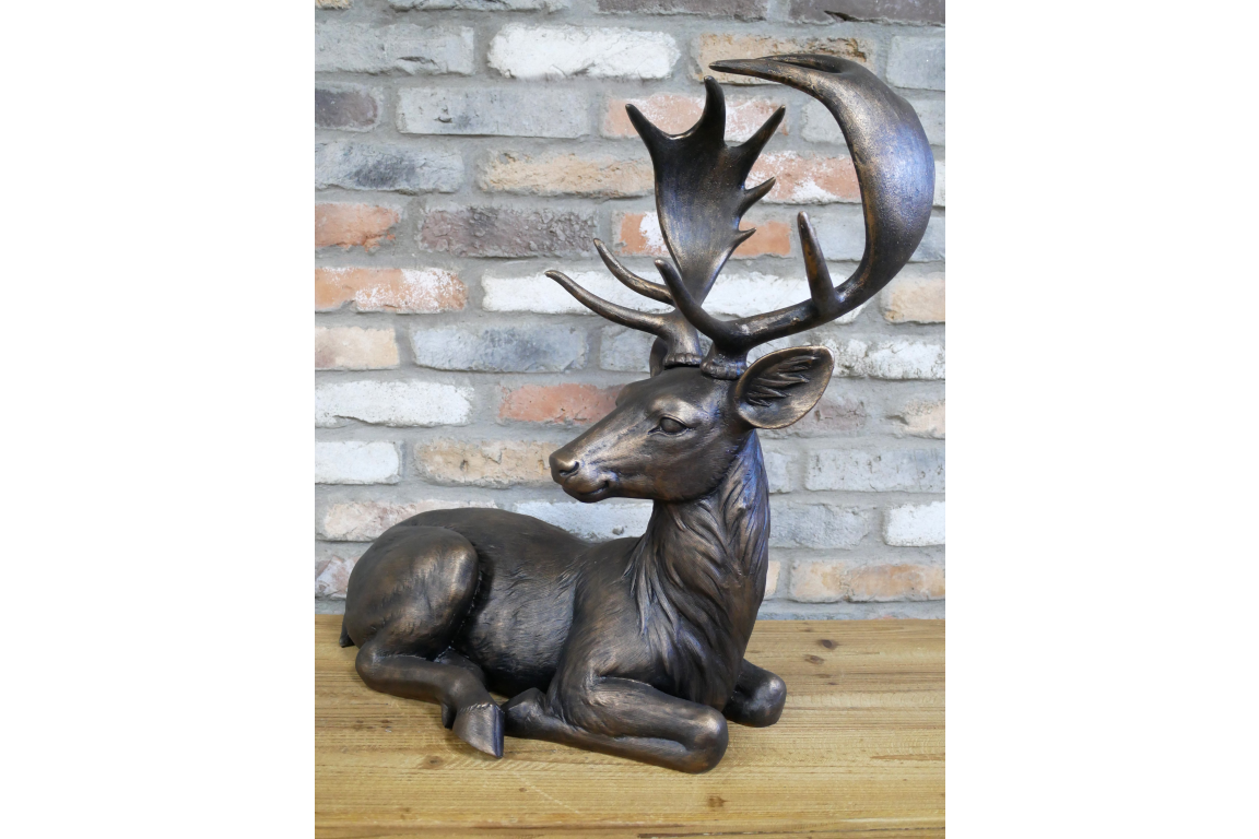 Laying Deer