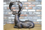 Laying Deer
