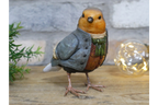 Robin