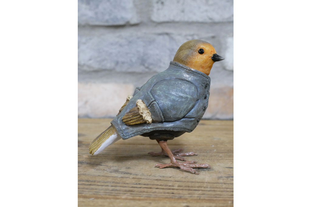 Robin