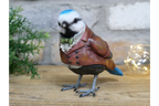 Blue Bird in Suit