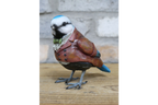 Blue Bird in Suit