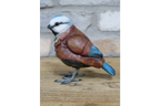 Blue Bird in Suit
