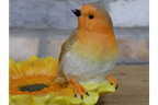 Robin Sunflower Feeder