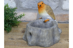 Robin Birdfeeder
