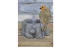 Robin Birdfeeder
