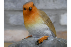 Robin Birdfeeder
