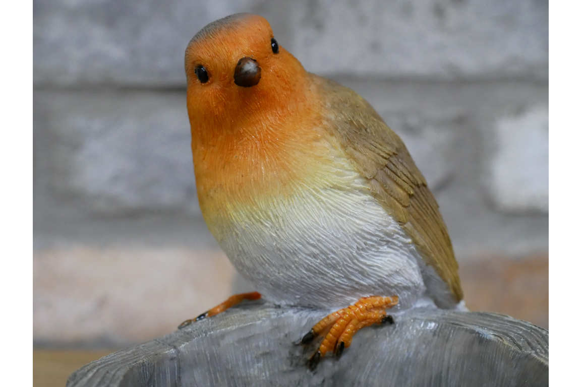 Robin Birdfeeder