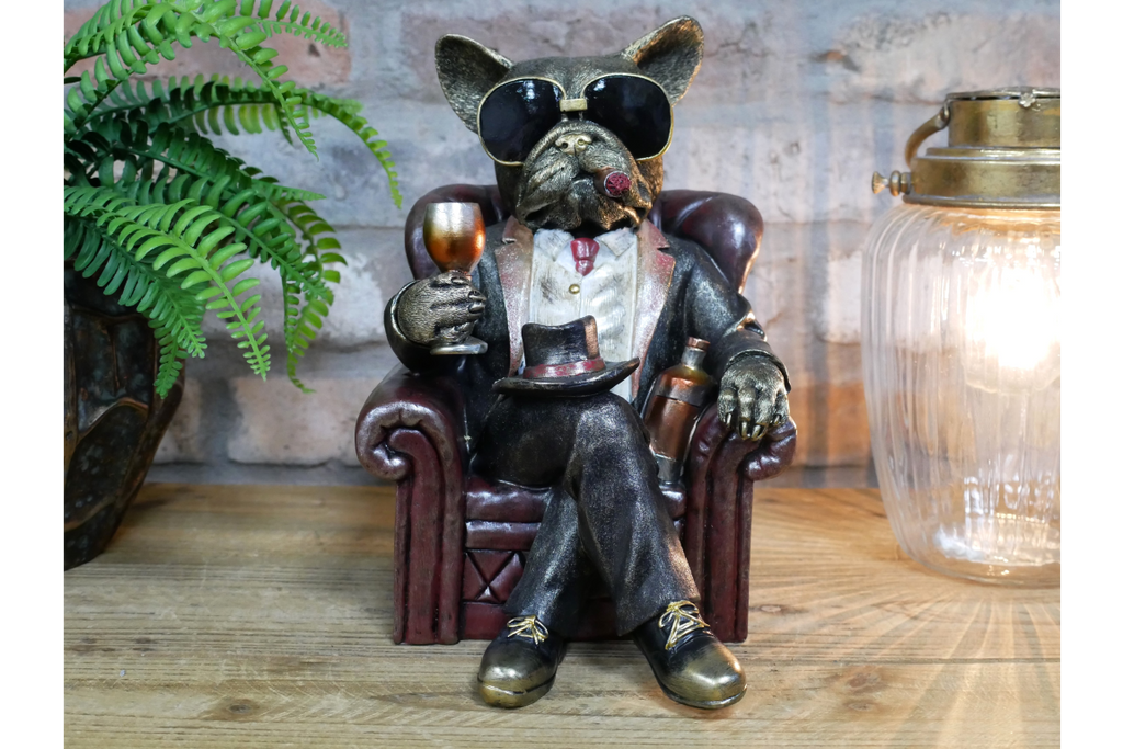 Dog in a Chair