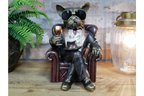 Dog in a Chair