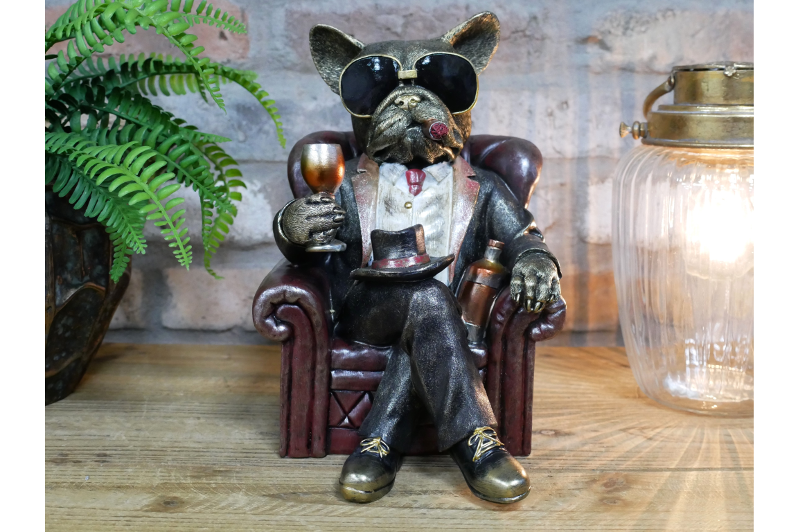 Dog in a Chair