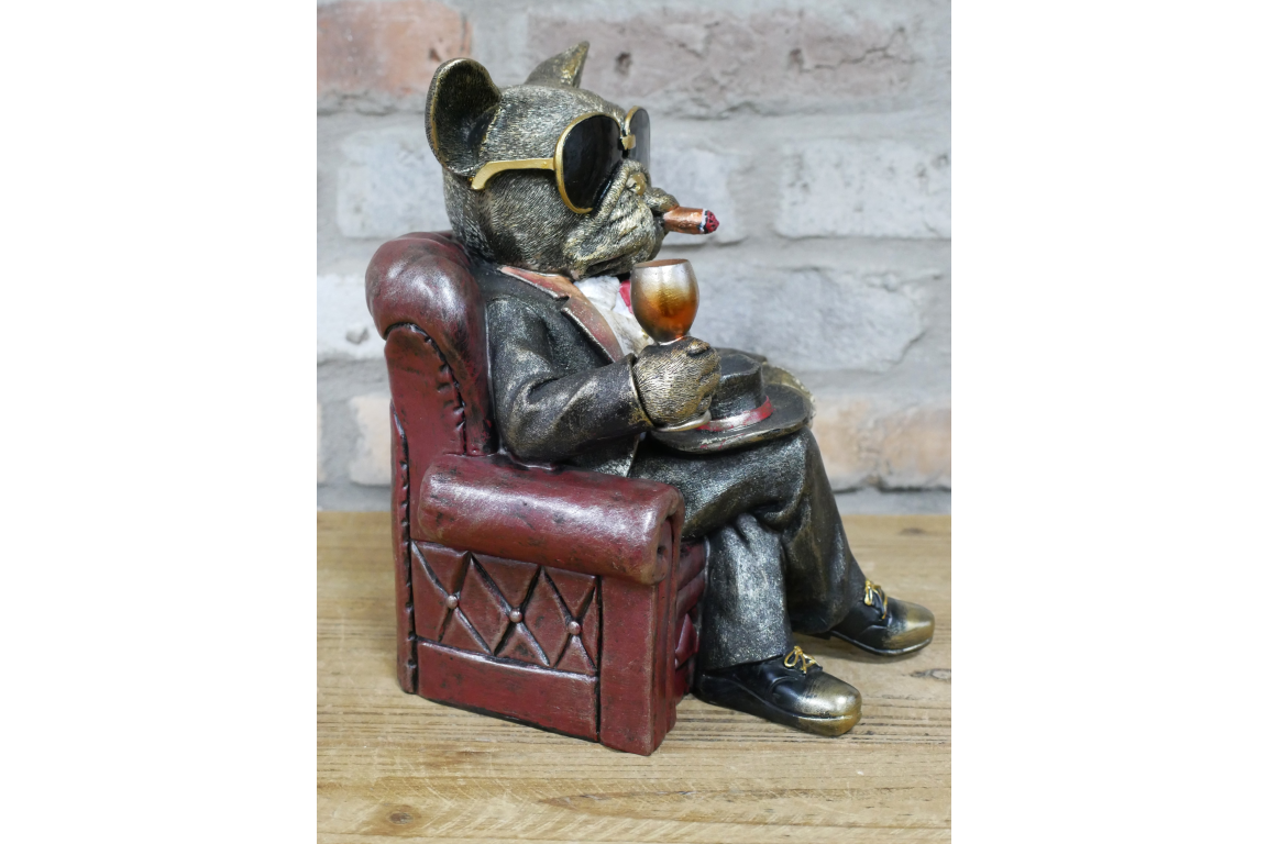 Dog in a Chair
