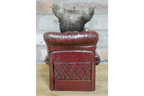 Dog in a Chair