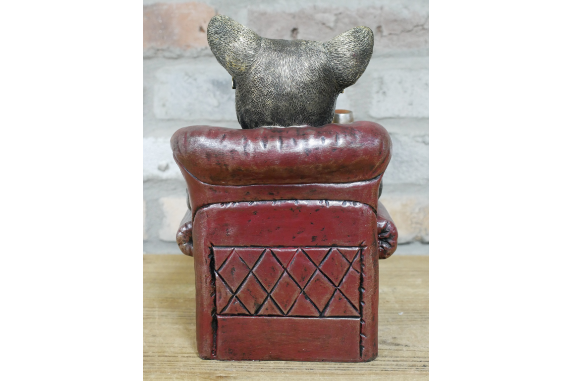 Dog in a Chair