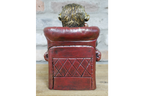 Monkey in a Chair