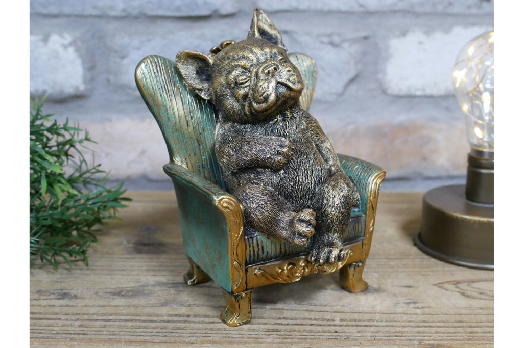 Dog on a Chair
