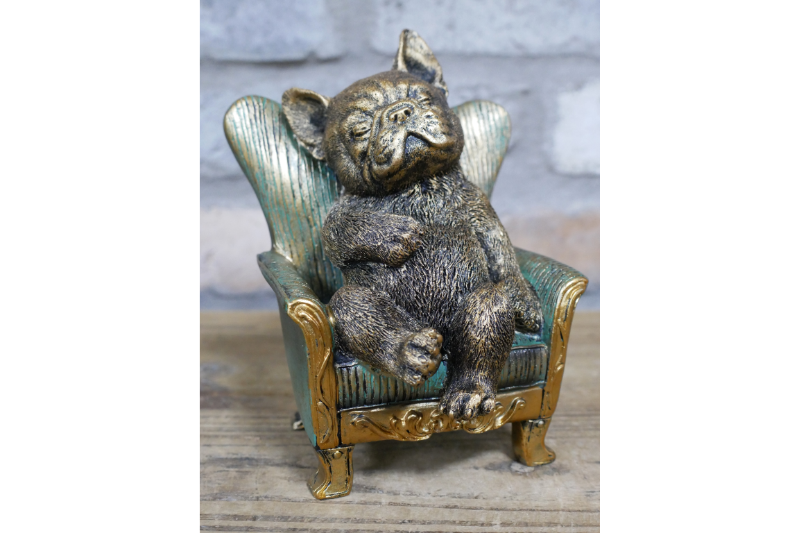 Dog on a Chair
