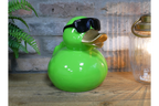 Green Duck