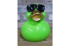 Green Duck