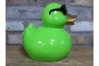 Green Duck