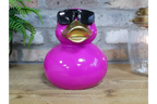 Pink Duck