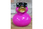 Pink Duck