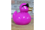 Pink Duck