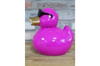 Pink Duck
