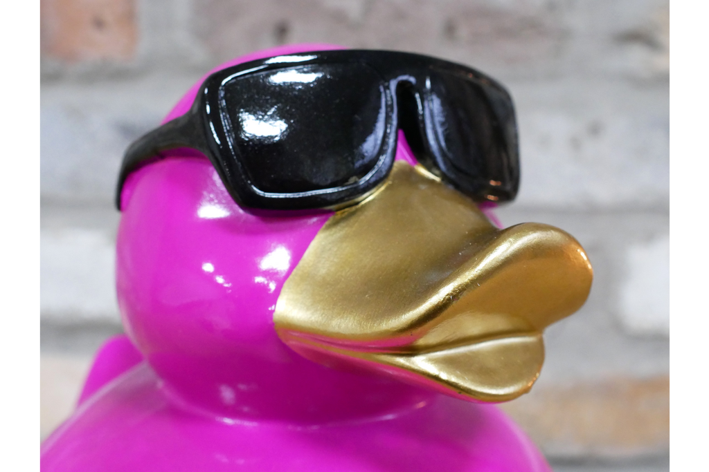 Pink Duck