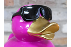 Pink Duck