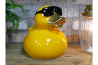 Yellow Duck