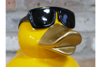 Yellow Duck