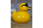 Yellow Duck