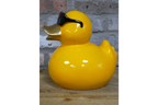 Yellow Duck