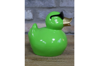 Green Duck