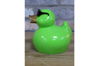 Green Duck
