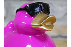 Pink Duck