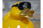 Yellow Duck