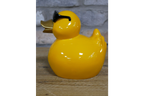 Yellow Duck