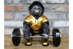 Weight Lifting Monkey