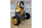 Weight Lifting Monkey