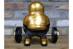 Weight Lifting Monkey