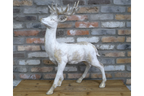 Standing Stag