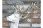 Standing Stag
