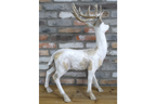 Standing Stag