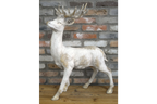 Standing Stag