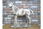 Standing Horse