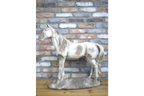 Standing Horse