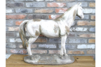 Standing Horse